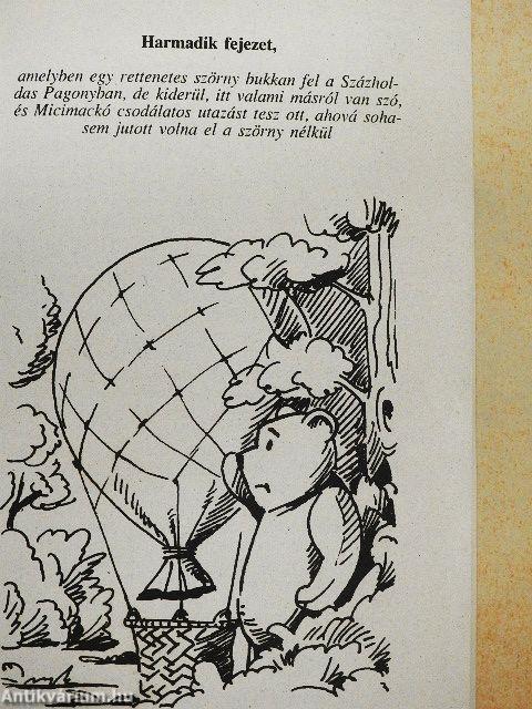 Micimackó léghajón