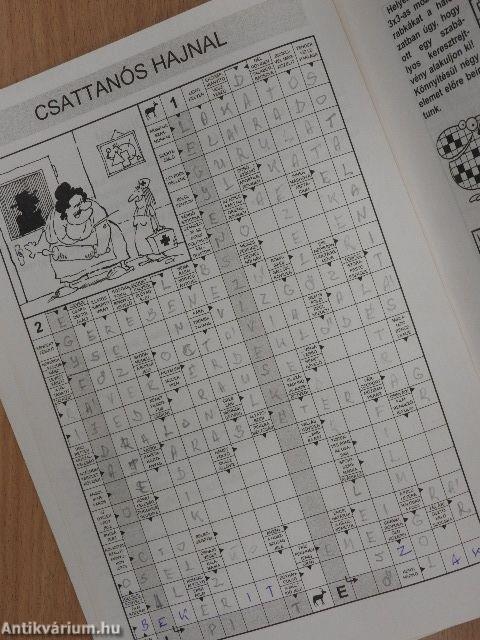 Nagy rejtvénykönyv 10.