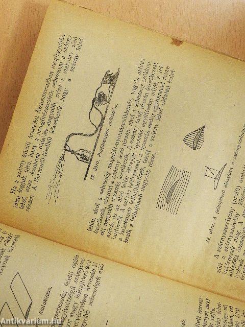 Vitorlázórepülés