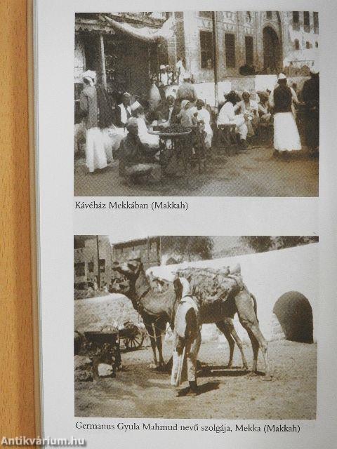 A félhold fakó fényében