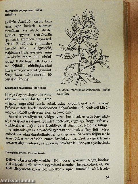 Akvarisztika