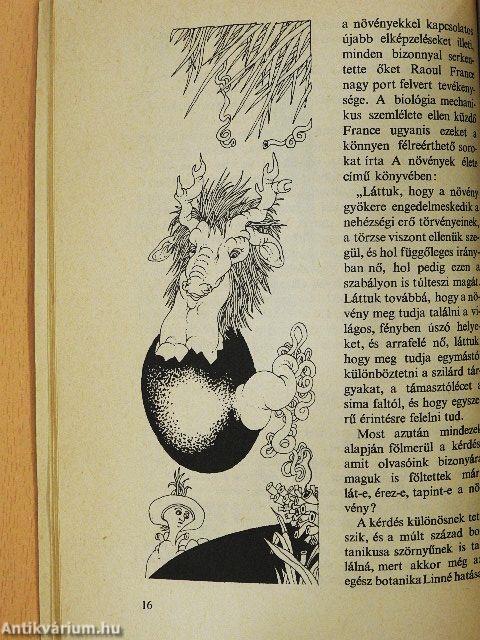 Mekkora lelke van a növényeknek?