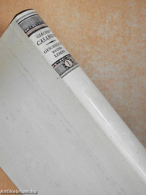 Geschichte meines Lebens 1. (töredék)