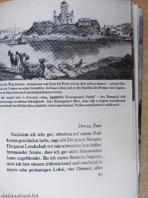 Bismarck auf der Reise durch Ungarn