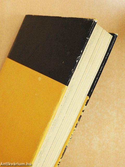 Anne Frank és Dawid Rubinowicz naplója