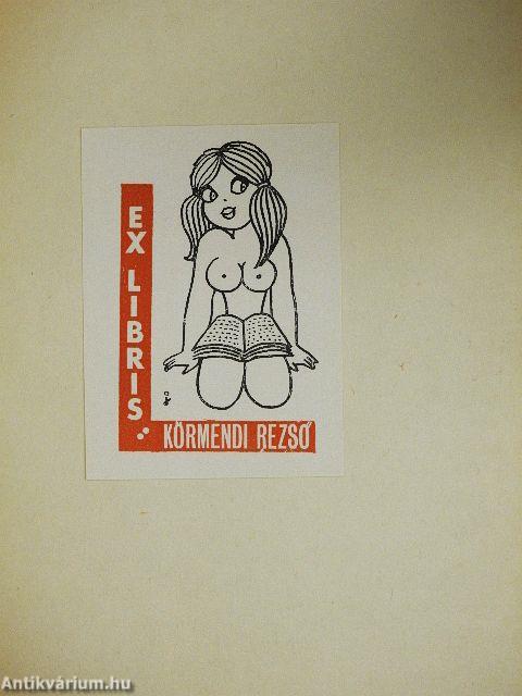 Albérlet a Síp utcában