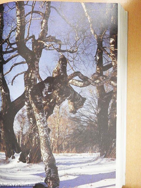 Jékely Zoltán összegyűjtött versei