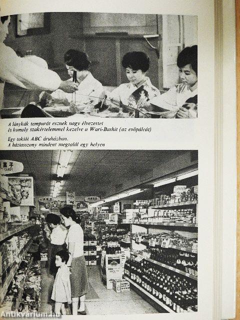 Vendég voltam Japánban