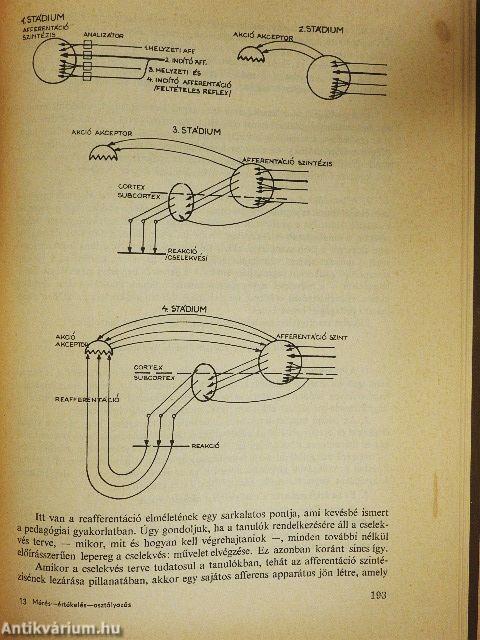 Mérés-értékelés-osztályozás