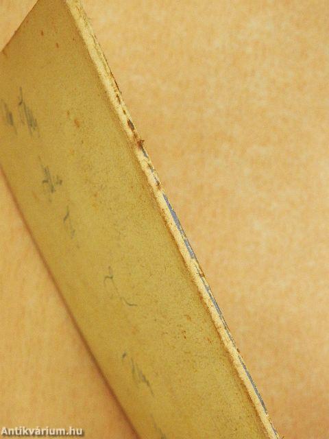 Mi a Mária-kongregáció?