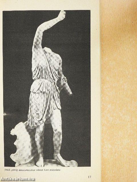 Az amazonok lázadása