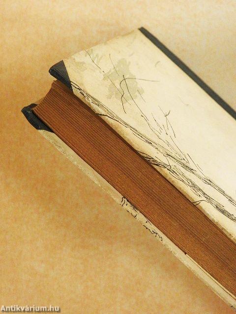 Karnevál a Kilimandzsáróban