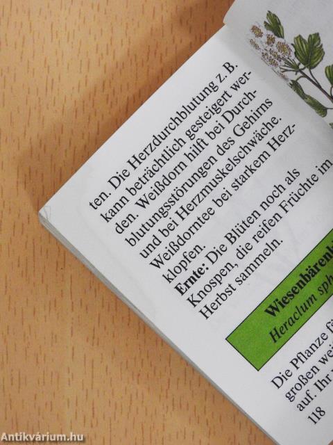 Die kleine Kräuterapotheke (minikönyv)