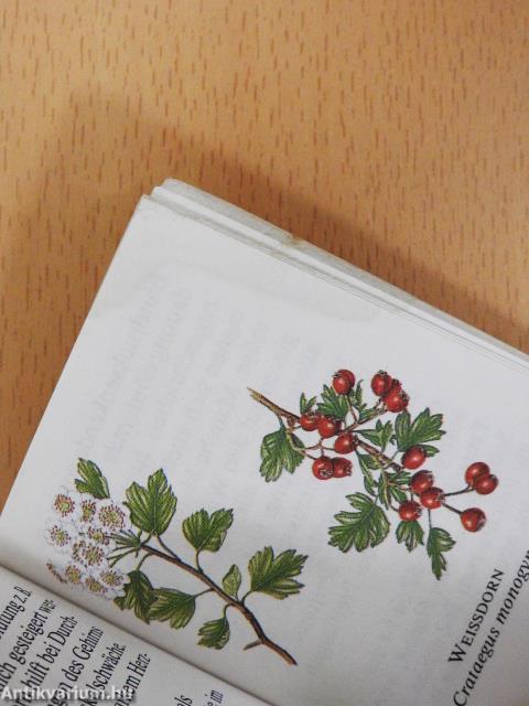 Die kleine Kräuterapotheke (minikönyv)