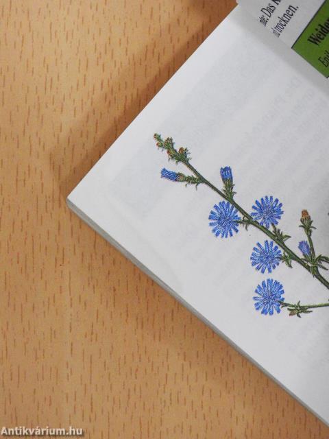 Die kleine Kräuterapotheke (minikönyv)