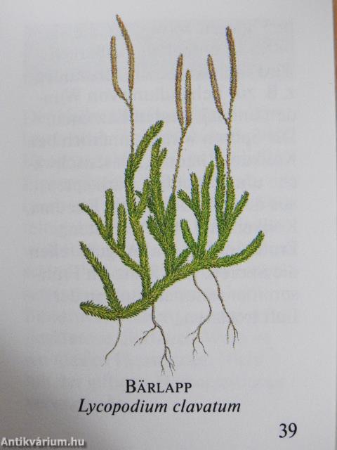 Die kleine Kräuterapotheke (minikönyv)