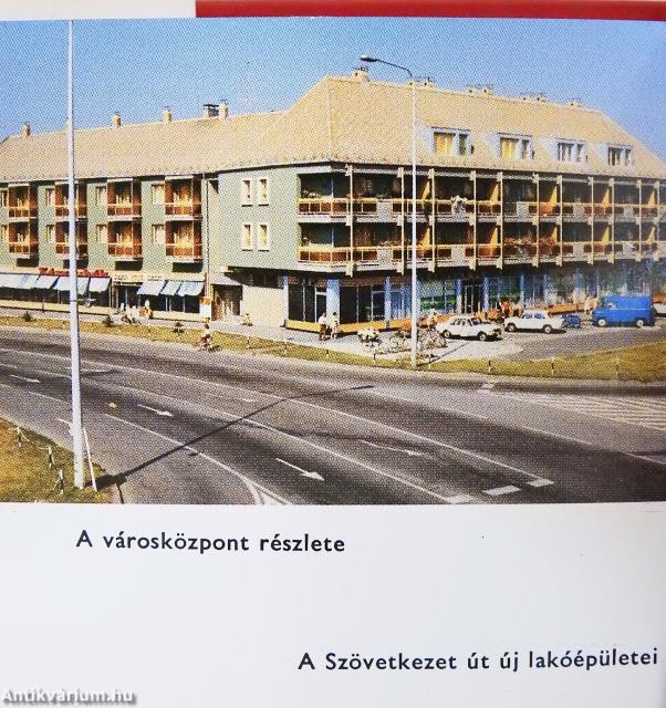 Hűtőgépgyár 1952-1982 (minikönyv)