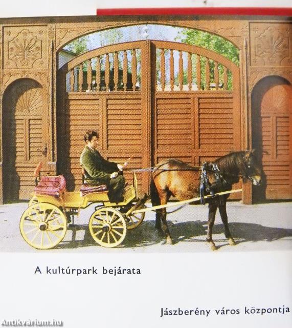 Hűtőgépgyár 1952-1982 (minikönyv)