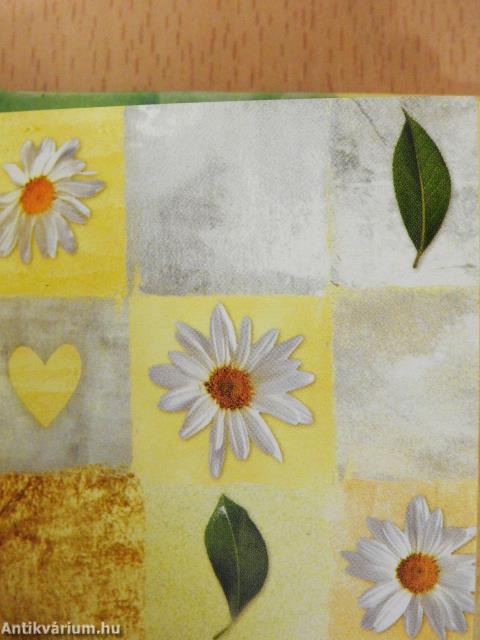 A barátság kicsiny könyve (minikönyv)