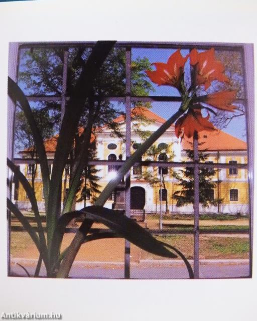 Zalaegerszeg (minikönyv)