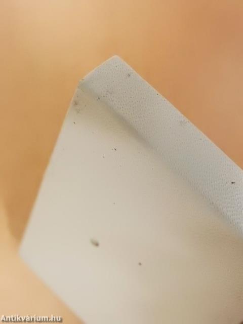 Ételek, ízek Pest megyéből (minikönyv) (számozott)