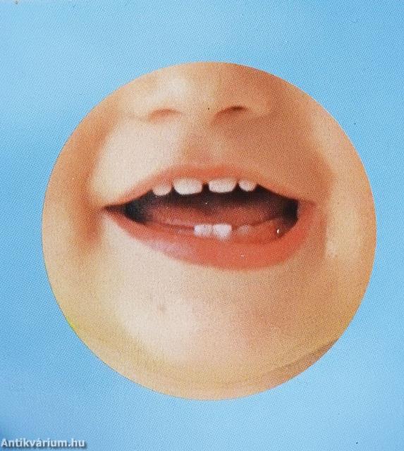 Von Kopf bis Fuß (minikönyv)