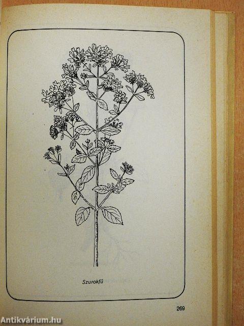 Ételek vadon termő gombákból és erdei gyümölcsökből