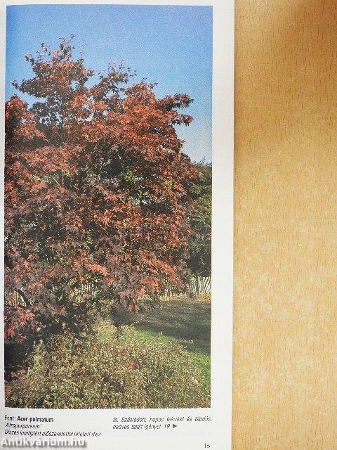 Cserjék és törpefák