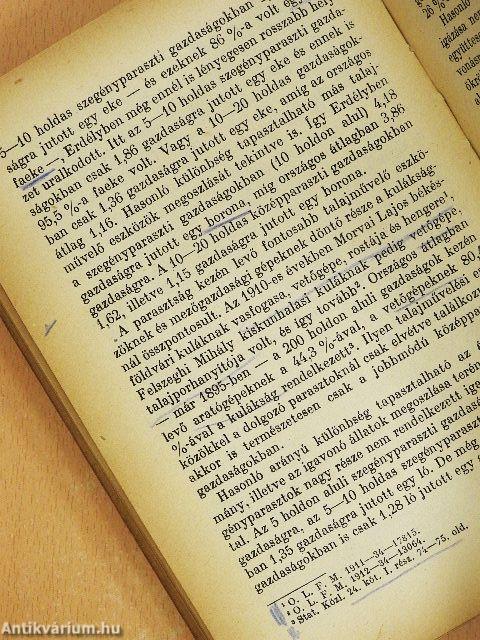 Tanulmányok a kapitalizmus történetéhez Magyarországon