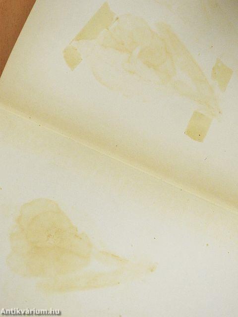 A mansfieldi kastély