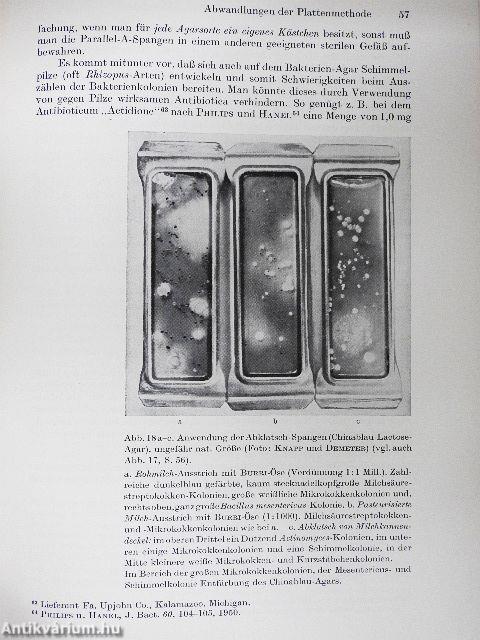 Bakteriologische Untersuchungsmethoden der Milchwirtschaft