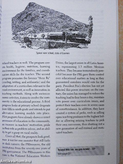 When in Mexico, Do as the Mexicans Do