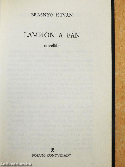 Lampion a fán