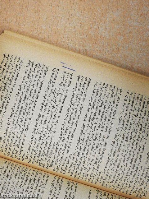 Welternährungswirtschaft