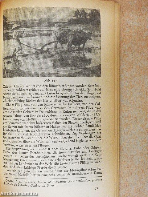 Welternährungswirtschaft