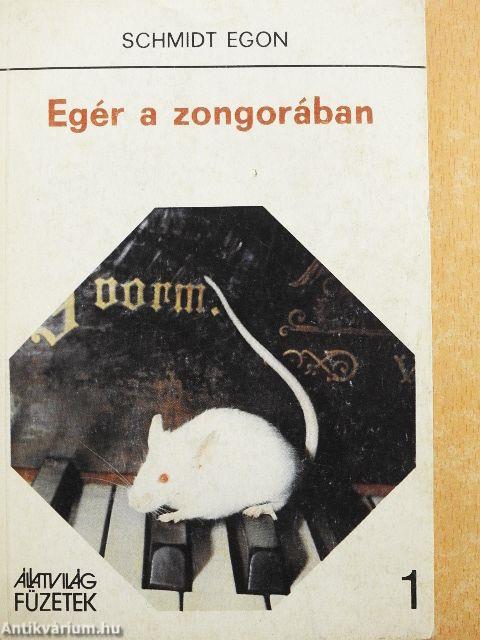 Egér a zongorában