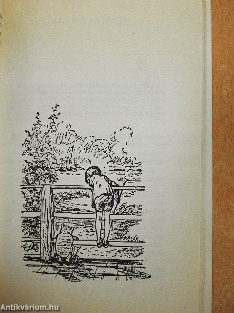 Micimackó és a tao