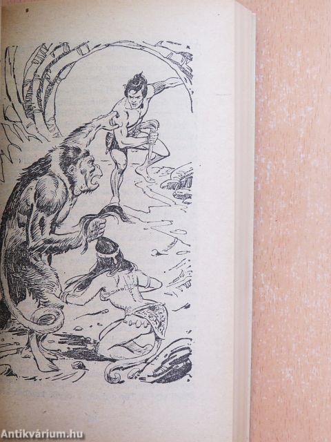 "10 kötet a Tarzan könyvek sorozatból (nem teljes sorozat)"