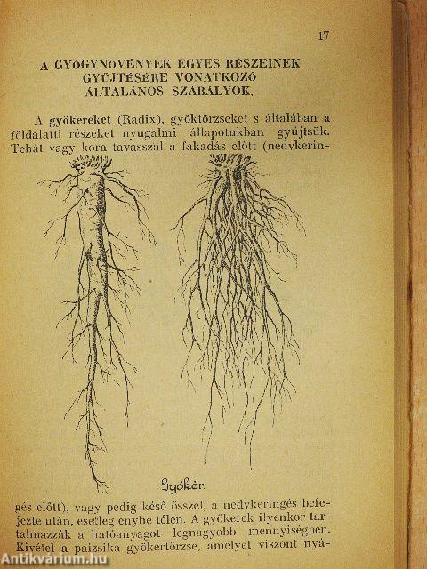 Útmutató gyógynövénygyűjtők és beváltók részére