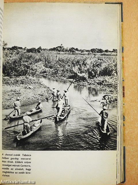 A kolibri irányában...