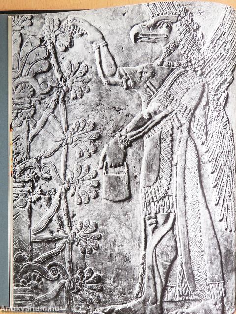 Cradle of Civilization