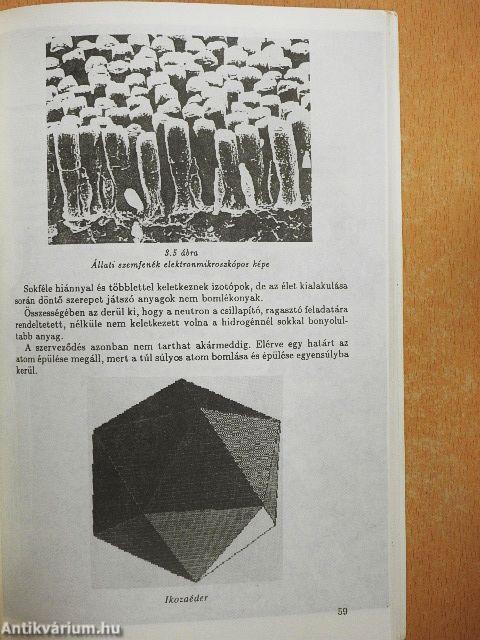 A teremtés üzenete