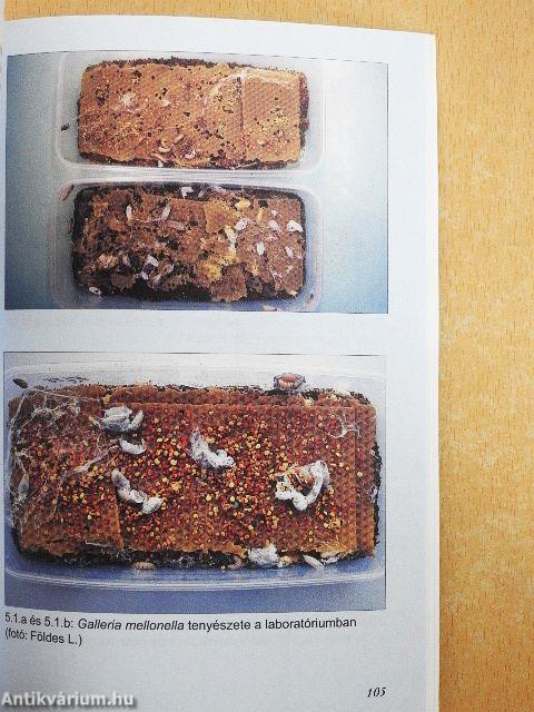 Biológiai növényvédelem