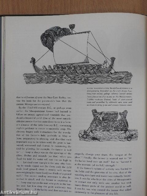 Cradle of Civilization