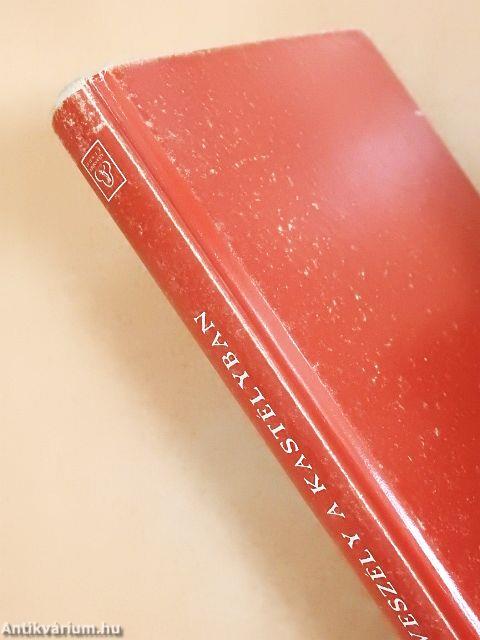 Veszély a kastélyban