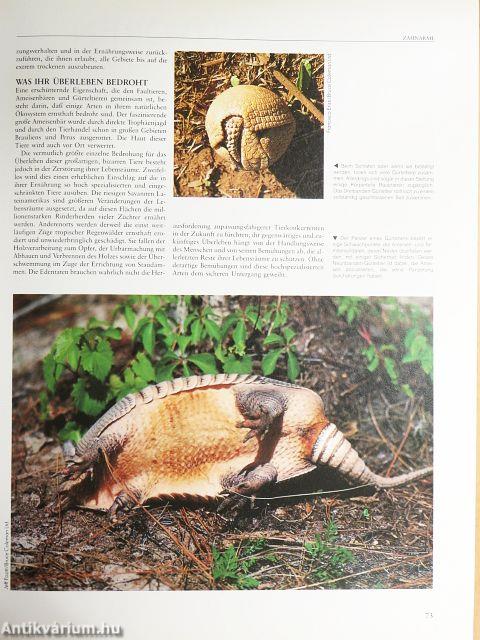 Die Enzyklopädie der Tiere