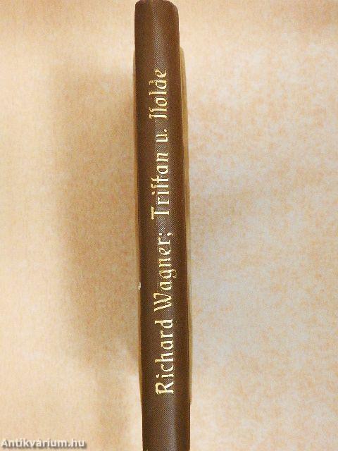 Tristan und Isolde: Handlung in drei Auszügen/Tristan und Isolde: Vollständiges Buch (gótbetűs)