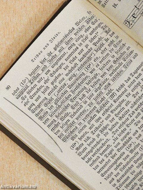 Tristan und Isolde: Handlung in drei Auszügen/Tristan und Isolde: Vollständiges Buch (gótbetűs)