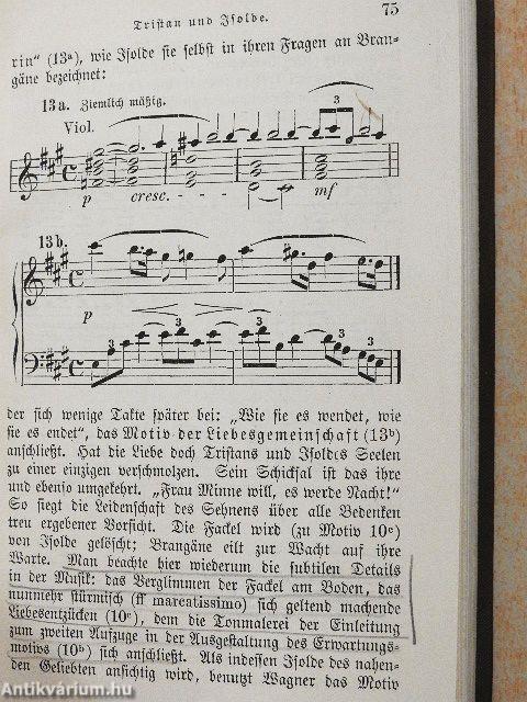 Tristan und Isolde: Handlung in drei Auszügen/Tristan und Isolde: Vollständiges Buch (gótbetűs)