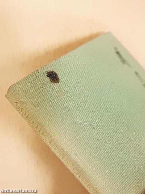 Das Tagebuch (minikönyv)